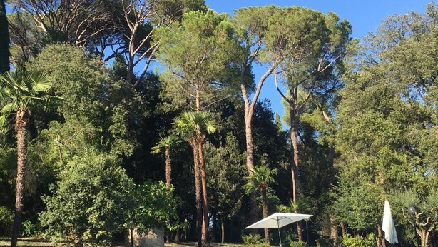 A swimming pool surrounded by trees, with lounge chairs and umbrellas. - Apartment 2 People Farmhouse Villa Luzi (Treia)