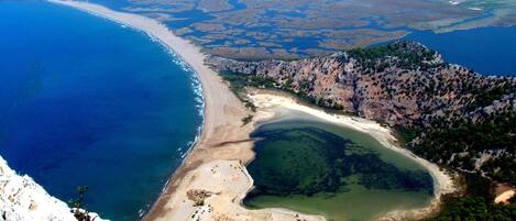 Room, 1 Bedroom, Fireplace | Exterior