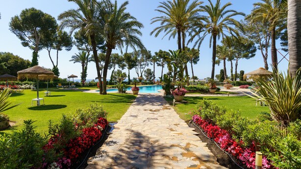 Un camino conduce a una piscina rodeada de palmeras y un jardín cuidado.