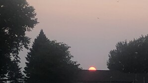 Auringonlasku tyynen vesistön yllä, etualalla näkyy puita ja rakennus.