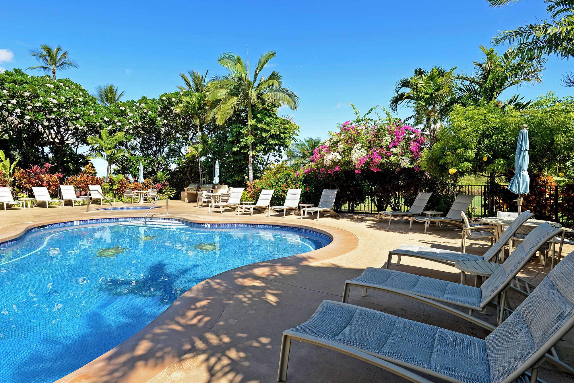 A swimming pool with lounge chairs and umbrellas, surrounded by tropical plants and trees.