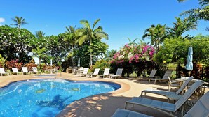 Une piscine entourée de plantes et d’arbres tropicaux, avec des chaises longues et des parasols.