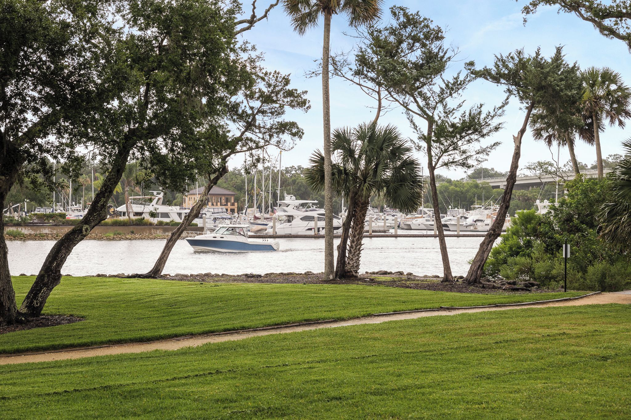 A marina with boats docked, surrounded by palm trees and a grassy area.