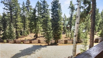 A forested area with a gravel path and wooden fence.