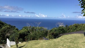 A coastal landscape with a view of the ocean, surrounded by lush greenery and a sloped terrain.
