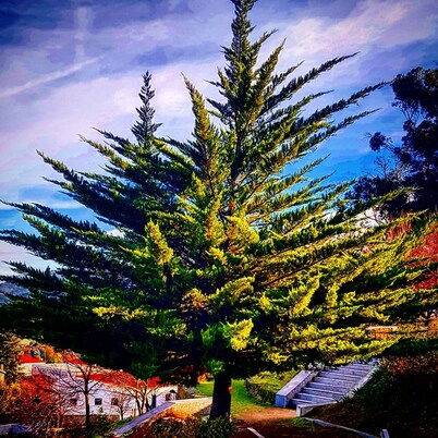 Casinha Dentro do Centro Historico Vista Deslumbrante