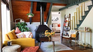 Smart TV, fireplace, books