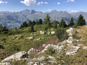 Overnatningsstedets område