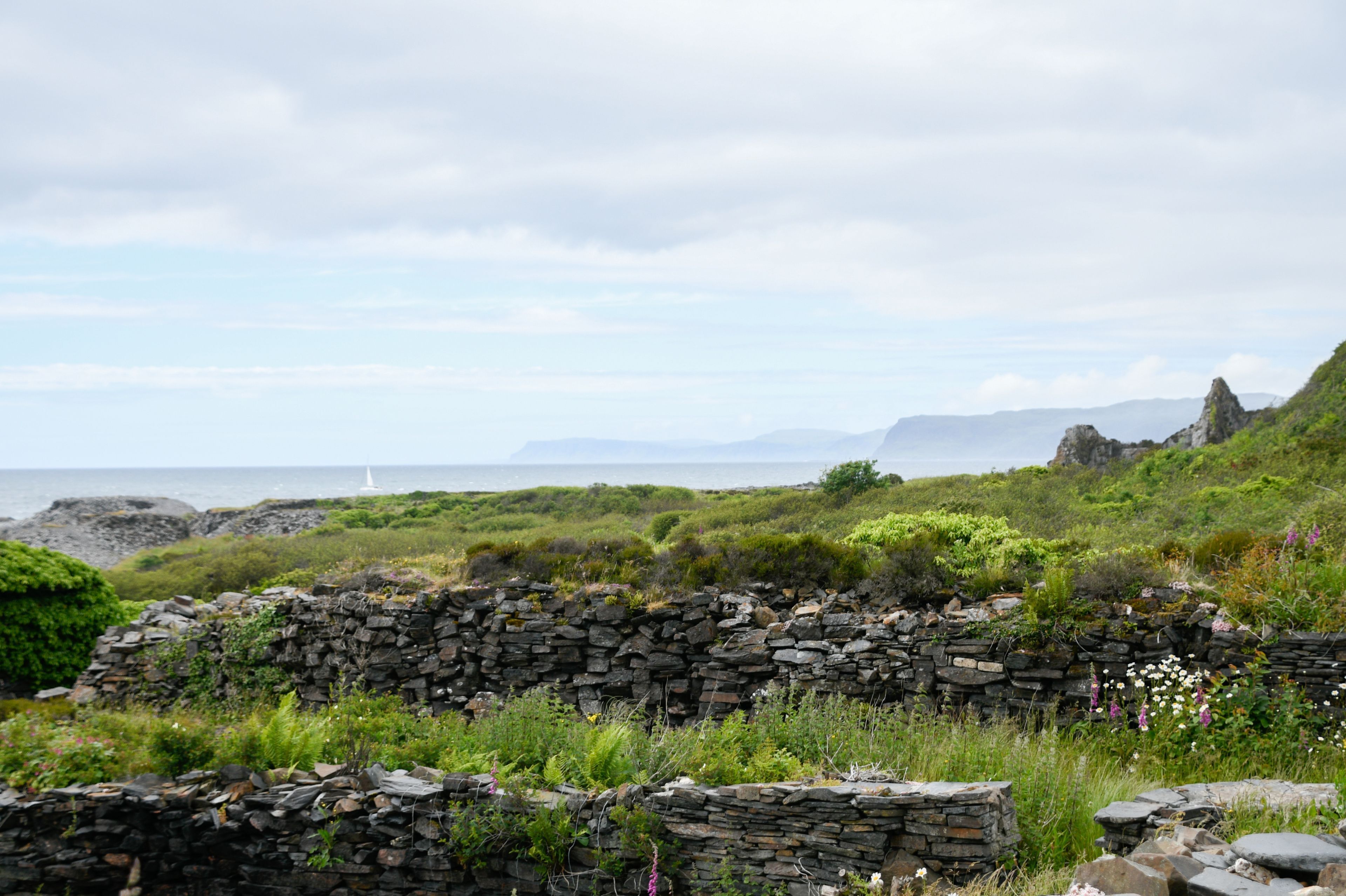 A coastal landscape with a stone wall, greenery, and a distant lighthouse.