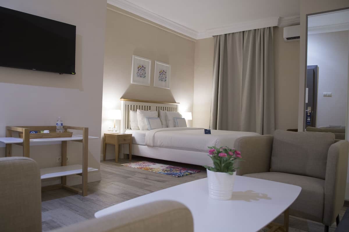 Quarto de hotel com cama, escrivaninha, cadeira, televisão e pequena mesa com planta.