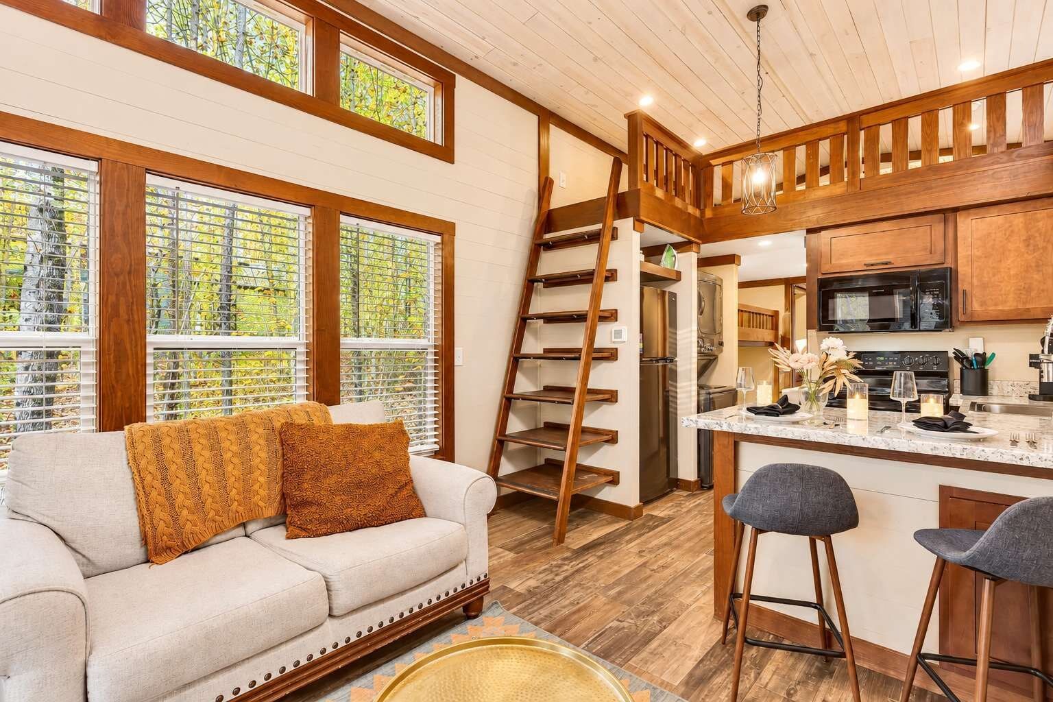 Living Room and Kitchen