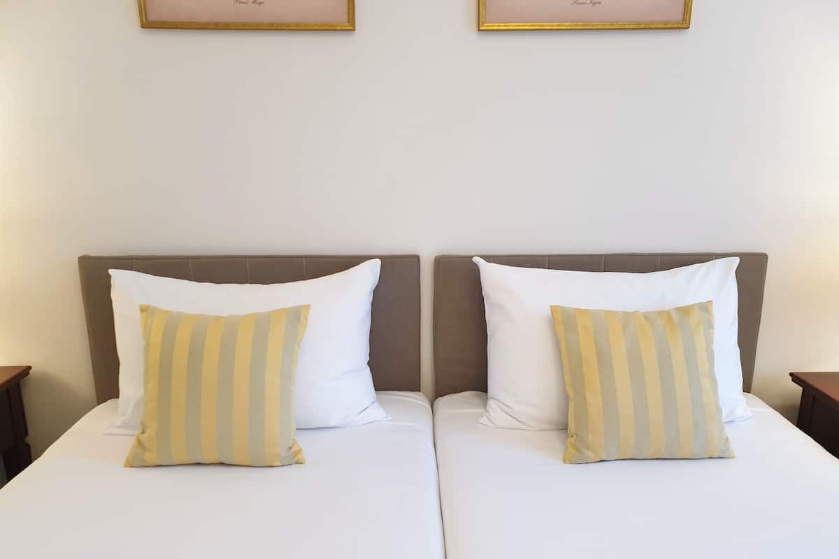 Chambre Deluxe Double ou avec lits jumeaux