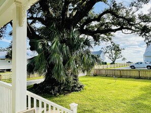 Un gran árbol frente a un edificio blanco con un porche.