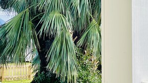 Un escalier en bois blanc mène à une porte, qui est entourée d’un feuillage verdoyant et d’un arbre.