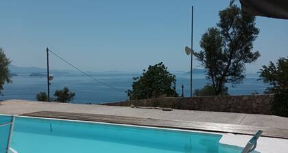 ONCE IN A LIFETIME! ANGELINA VILLA
AMA 00003318535