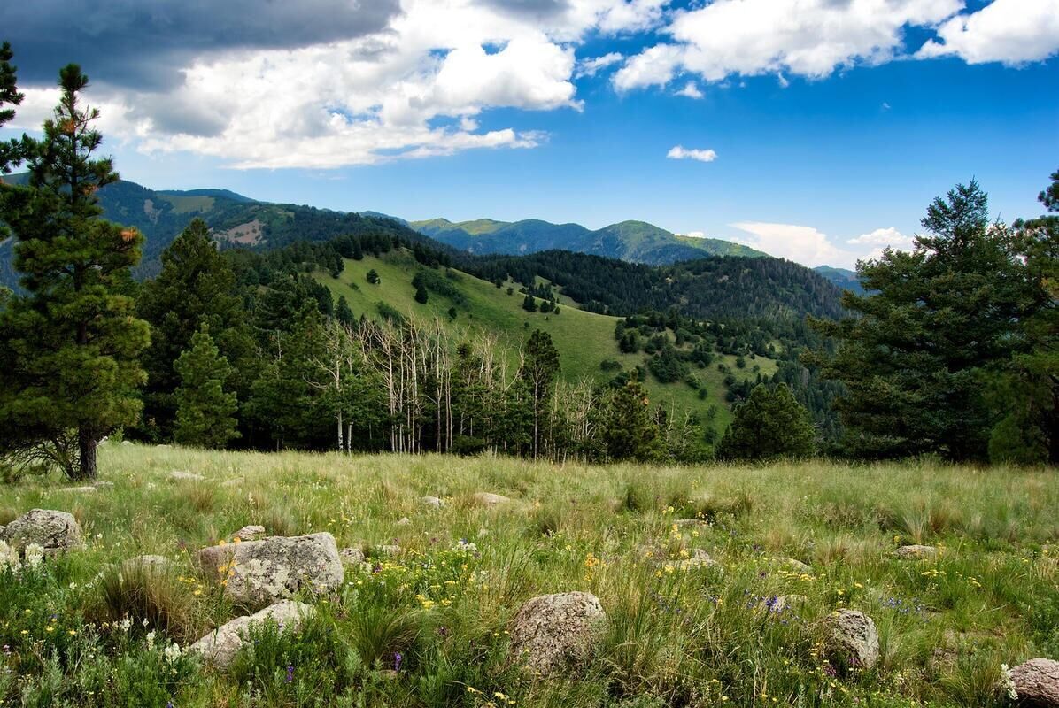 A mountainous landscape with a grassy foreground and trees.