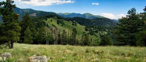 A mountainous landscape with a grassy foreground and trees.