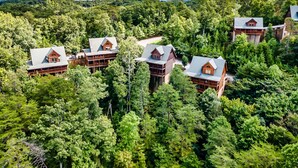 A cluster of log cabin-style lodges surrounded by dense forest, with a mountainous backdrop. - Timberwolf Vista w HotTub Pool View (Sevierville)