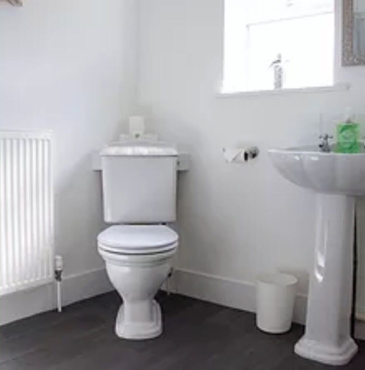 Imagen de perfil del propietario o de la propietaria