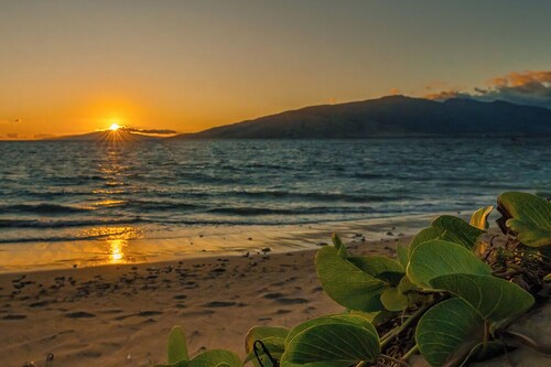 Maui Sunset by Maui Rental Group