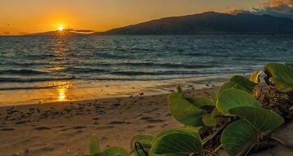 Maui Sunset by Maui Rental Group
