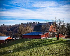 Exterior - Log Cabin Retreat, Beautiful Views, trail @ house (Blue Ridge)