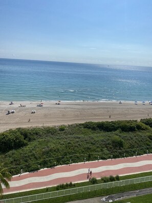 On the beach - Oceanfront Condo on Millionaire's Row in Miami Beach (Miami Beach)