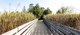Adorable Townhome with Water Views