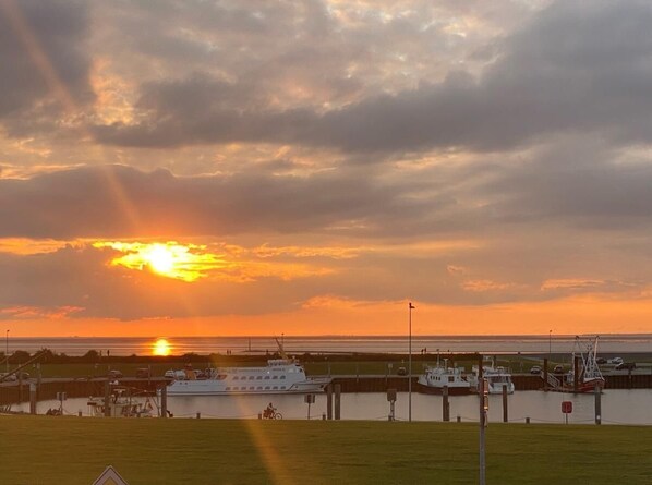 Port de plaisance