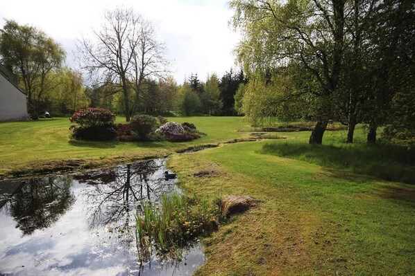 Ein friedlicher Garten mit Teich, üppiger Vegetation und einem kleinen Gebäude im Hintergrund.
