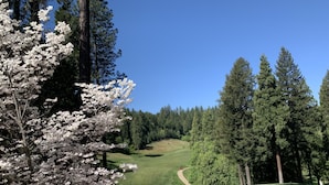 Un parcours de golf avec des allées bien définies, entouré d’une forêt dense et sous un ciel dégagé.