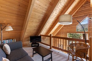 TV, fireplace, books