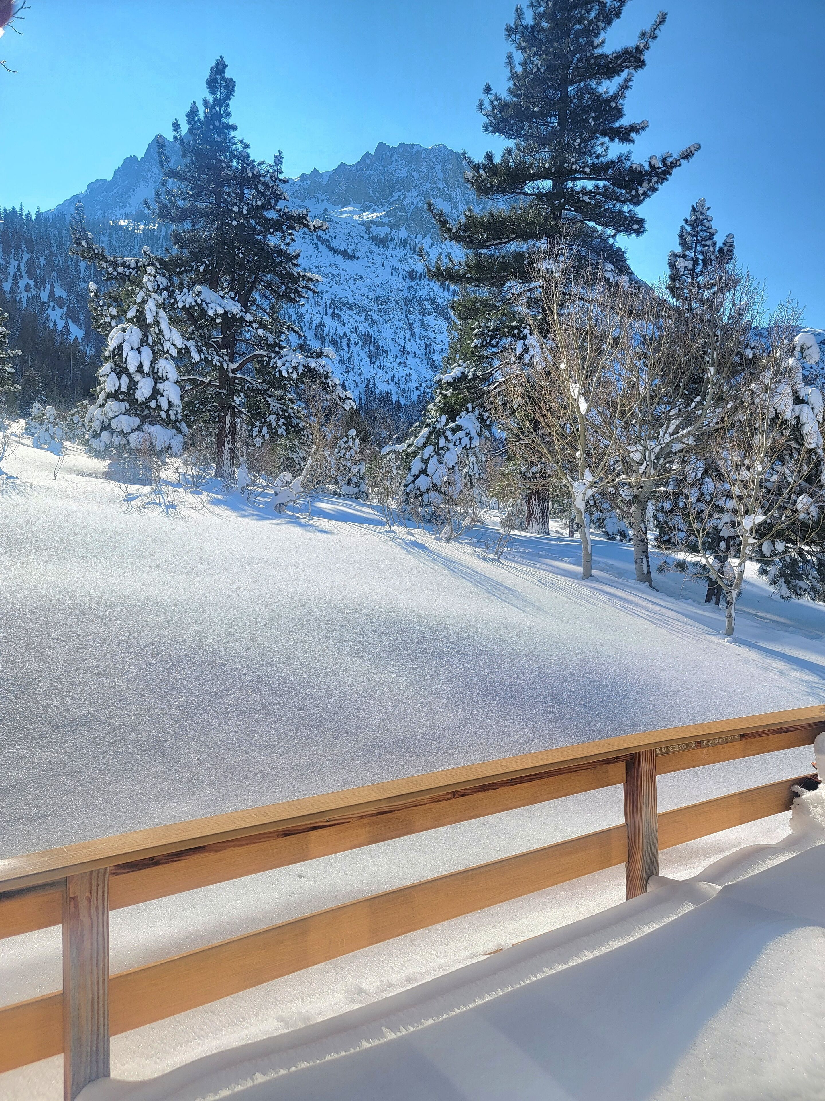 Paisaje nevado con una valla de madera en primer plano y árboles cubiertos de nieve.