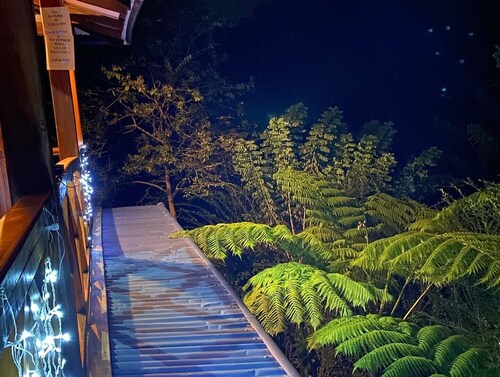 Entire cabin to enjoy with the family