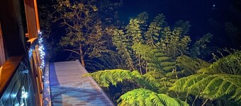 Entire cabin to enjoy with the family