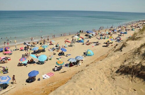 Cozy 3 bedroom cottage in the Heart of Wellfleet