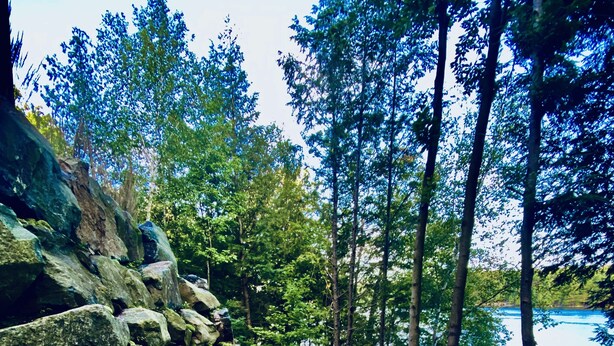 A stone pathway leading through a forested area with a view of a body of water in the background. - Lake Rosseau Sunset Facing Deep Water Lake Front Property (Port Carling)