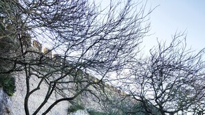 Un chemin de pierres mène à un bâtiment doté d’une porte en bois, qui est entouré d’arbres et d’un mur de pierres.