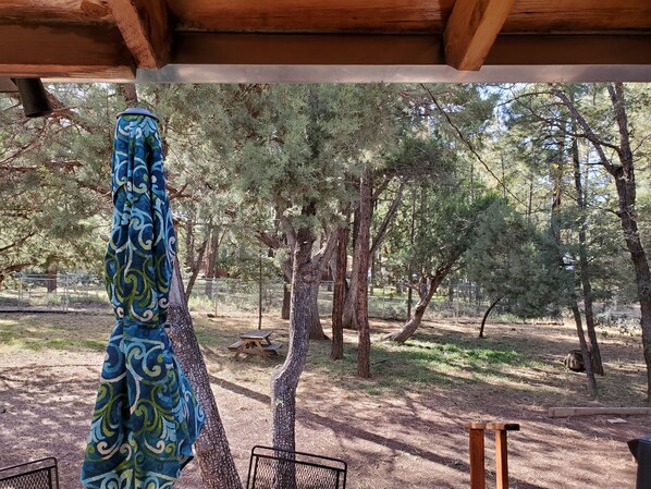 Un espace extérieur abrité, doté d’un banc en bois et d’une table de pique-nique, le tout entouré d’arbres.