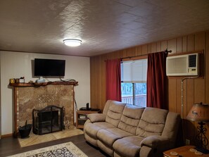 Smart TV, fireplace, books