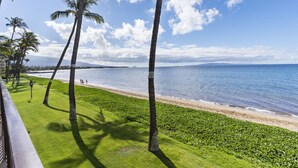 A beach with palm trees and a view of the ocean. - Ma'alaea Surf, D9 - Oceanfront Condo - remodeled two-bedroom, 2nd Floor (Kihei)