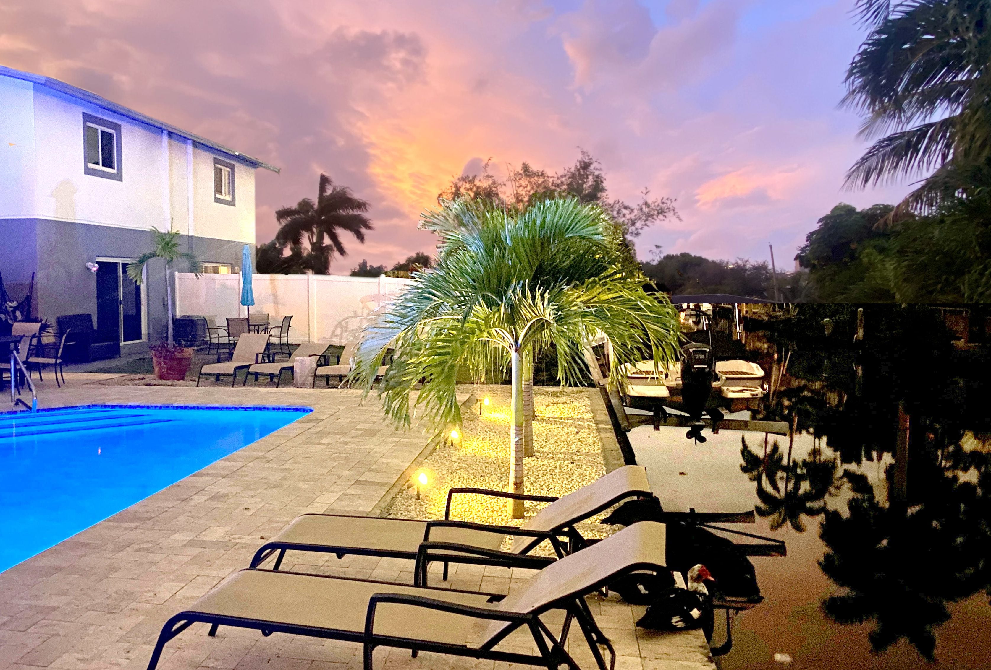 Zona de piscina con sillones de descanso y una palmera.