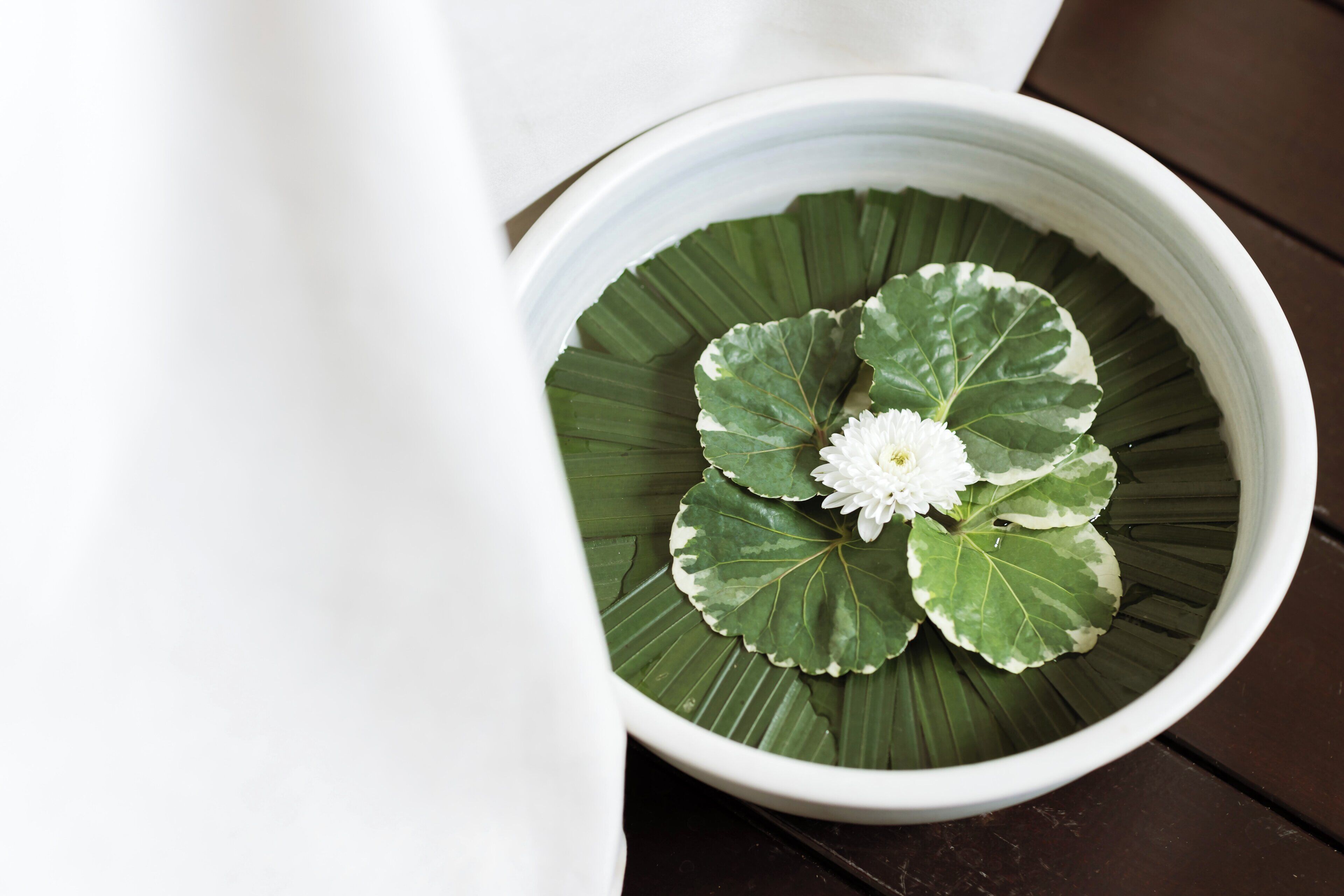 Un bol blanc, orné d’une feuille verte et d’une fleur blanche, posé sur une surface en bois sombre.