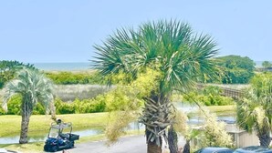 A golf cart on a path with a large palm tree and a body of water in the background. - Luxury Beach Living at Ocean Villa B241 (Hilton Head Island)