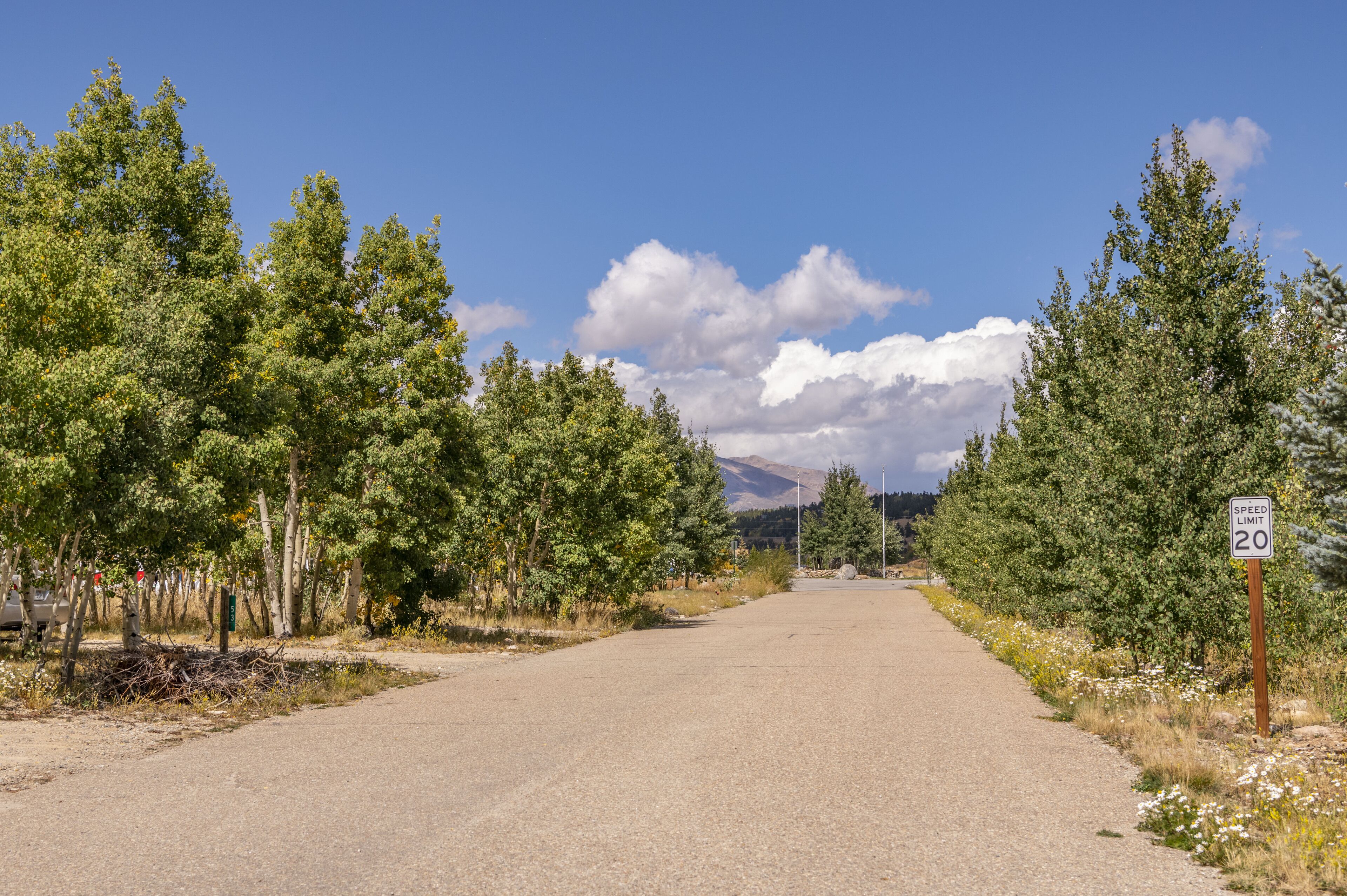 Une route asphaltée bordée d’arbres, avec un panneau indiquant la vitesse maximale autorisée : 32 km/h.