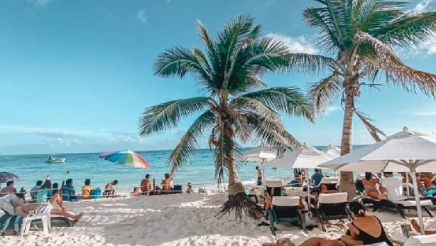 Een strand met palmbomen, ligbedden en parasols.