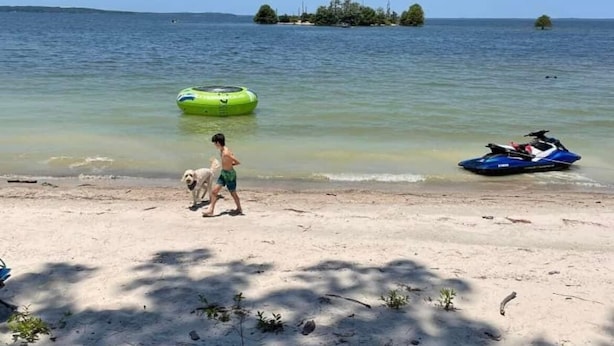 Ein Strand mit einer Person, die einen Hund ausführt, einem Jetski und einem grünen aufblasbaren Boot im Wasser.