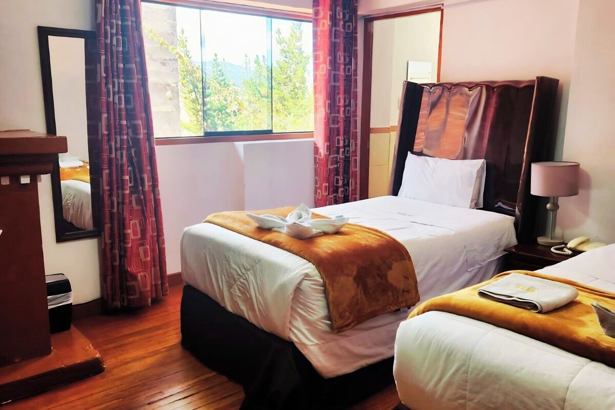 Standard Twin Room | Free WiFi, bed sheets
