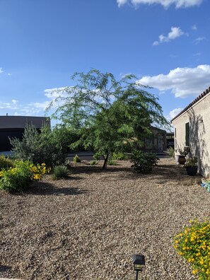 المنطقة المحيطة بالمنشأة