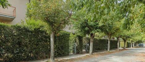 Una strada residenziale alberata con un edificio dotato di balcone.